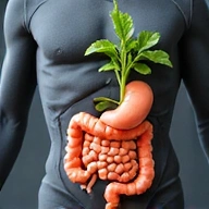 Un sistem digestiv stilizat, cu plante care cresc din el, simbolizând susținerea digestiei sănătoase.
