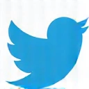 Twitter Icon